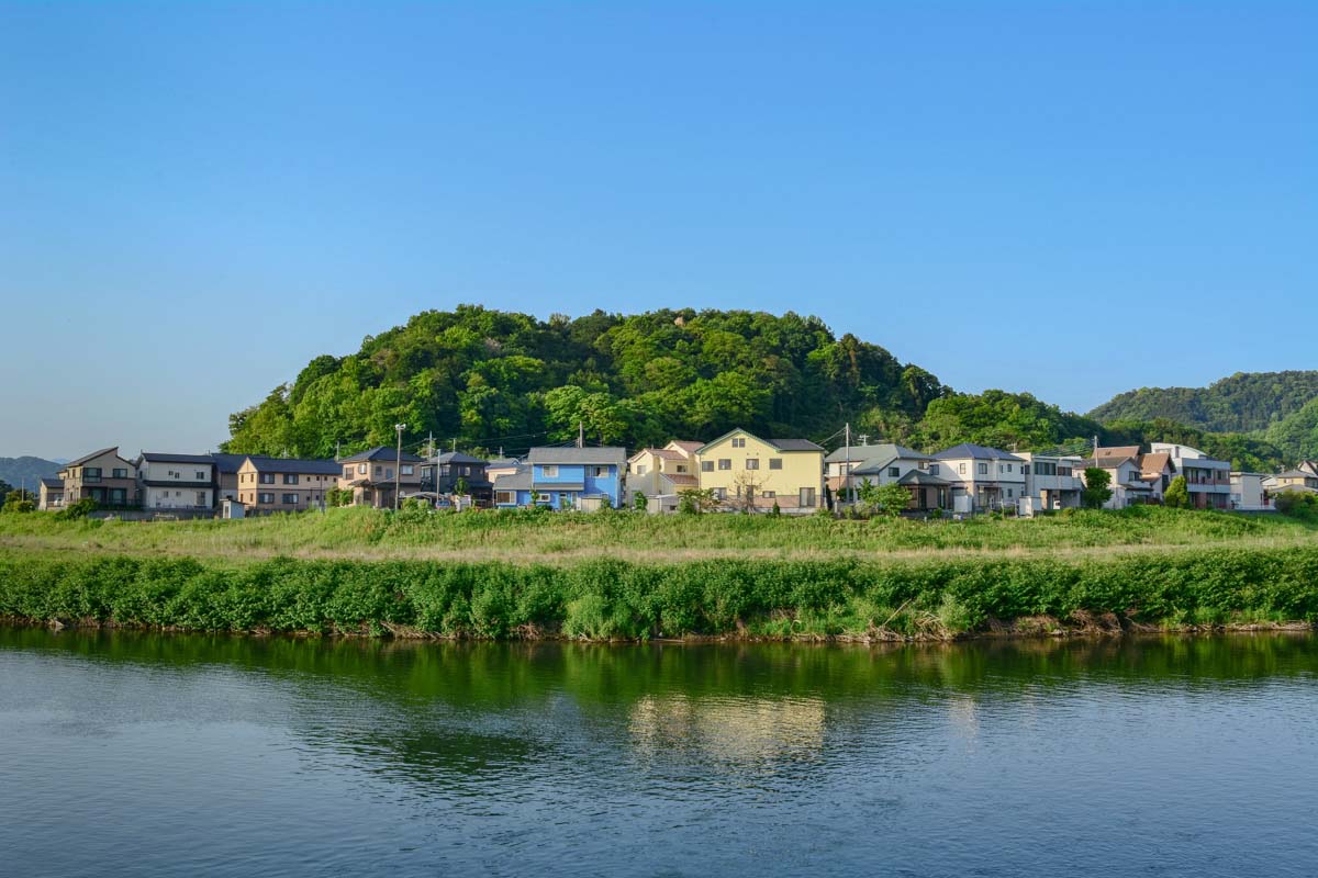 柿田川から狩野川越しにみる本城山