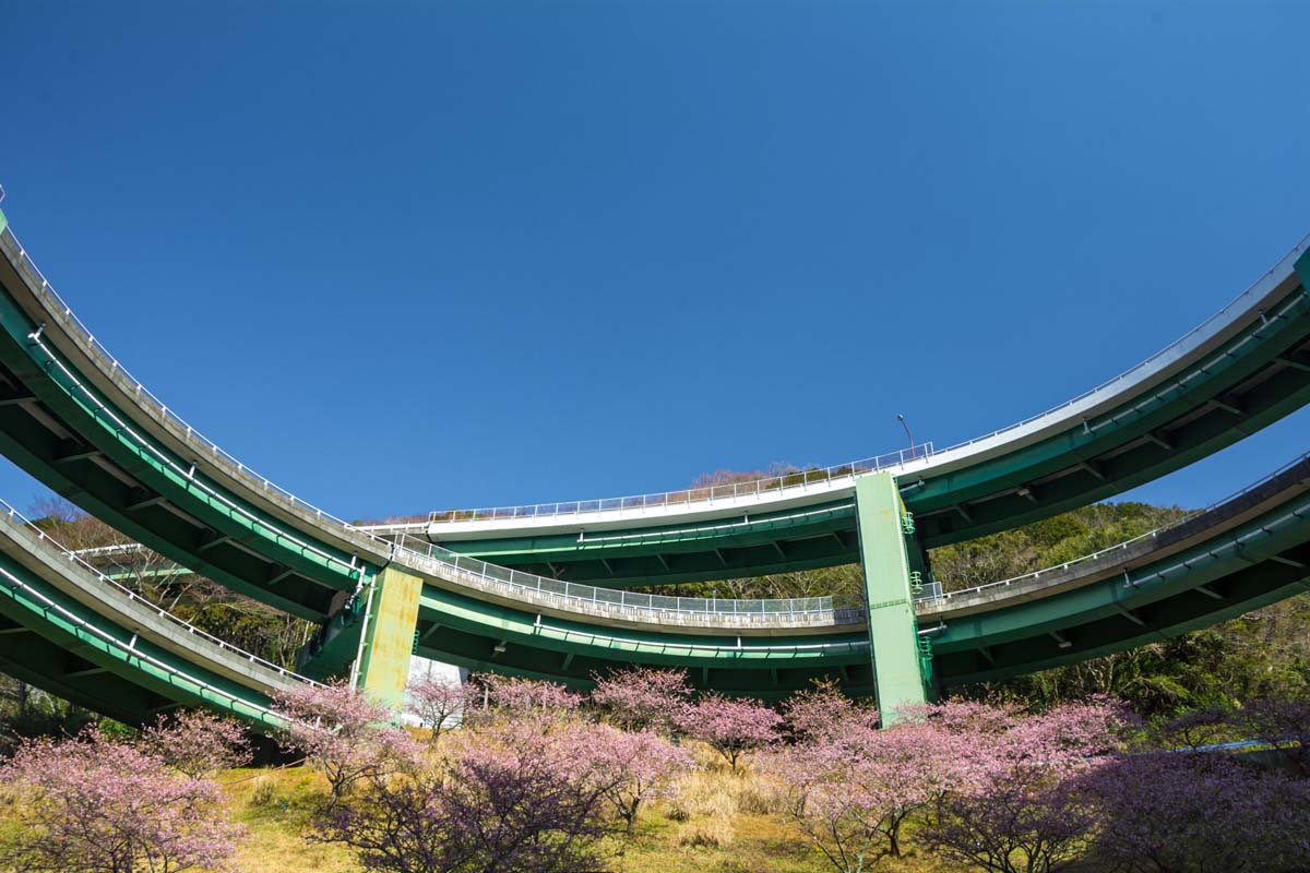 桜とループ橋